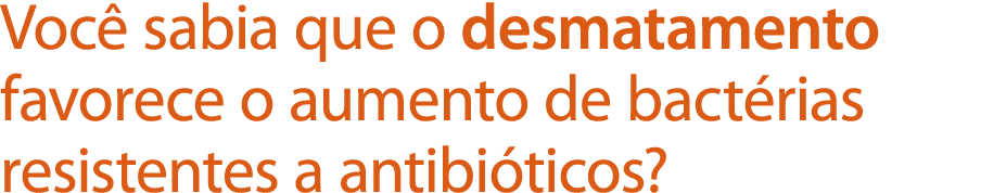 Você sabia que o desmatamento favorece o aumento de bactérias resistentes a antibióticos 